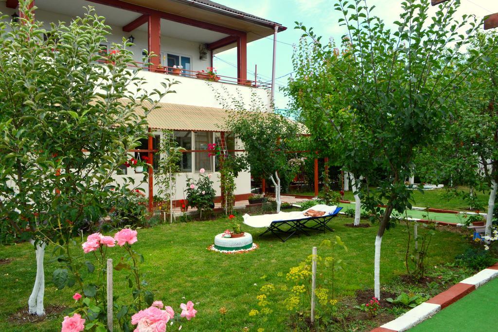Отель Casa Gia Костинешти Экстерьер фото
