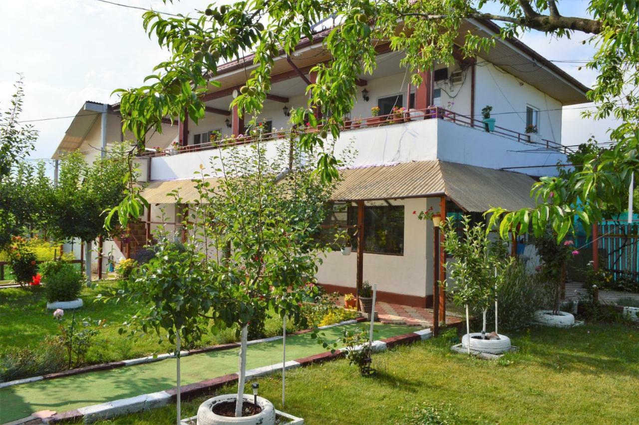 Отель Casa Gia Костинешти Экстерьер фото